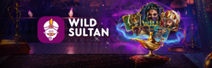 Wild Sultan casino bannière 